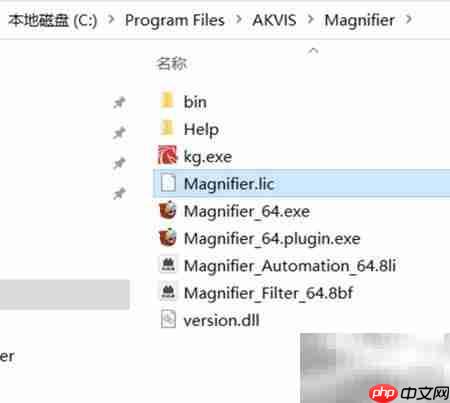 Magnifier2021安装使用指南