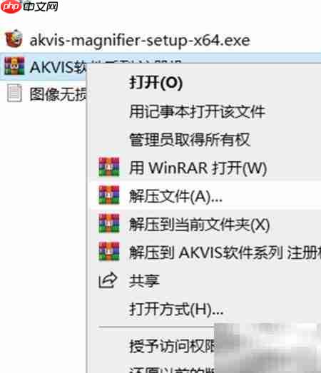 Magnifier2021安装使用指南