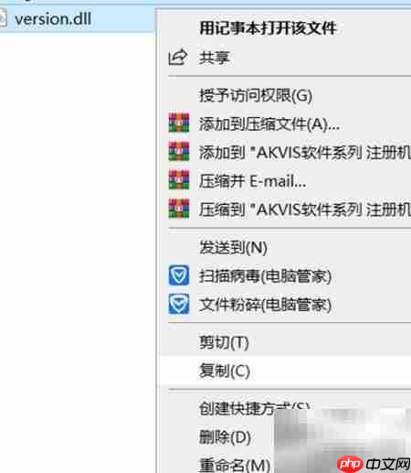 Magnifier2021安装使用指南