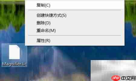 Magnifier2021安装使用指南