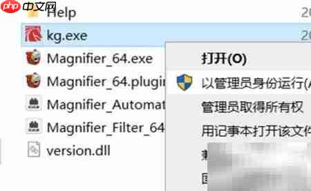 Magnifier2021安装使用指南