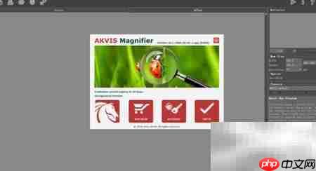 Magnifier2021安装使用指南