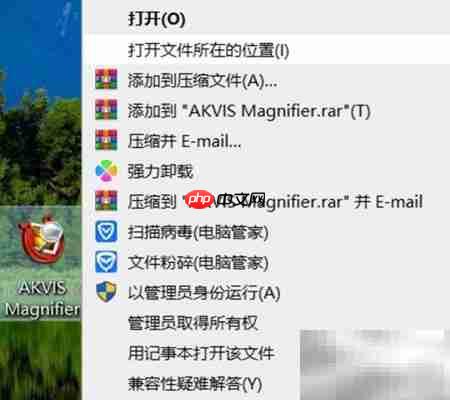 Magnifier2021安装使用指南