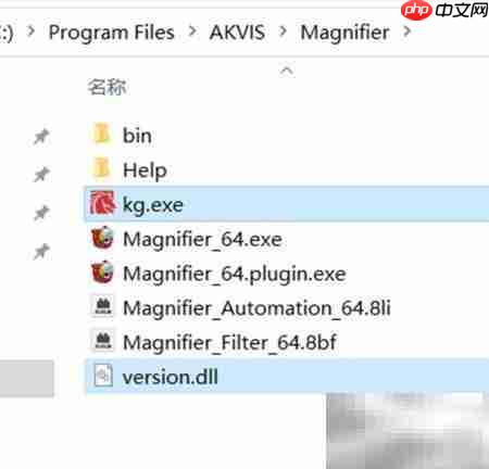 Magnifier2021安装使用指南