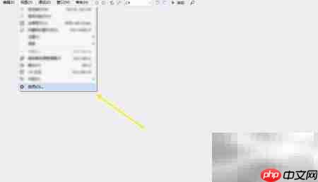 dnspy启用vb运行时方法