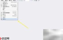 dnSpy启用VB运行时方法