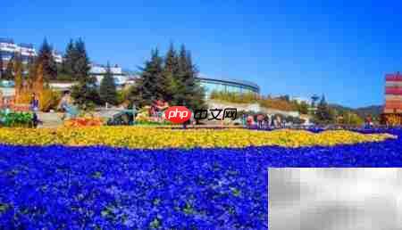 昆明必游景点推荐