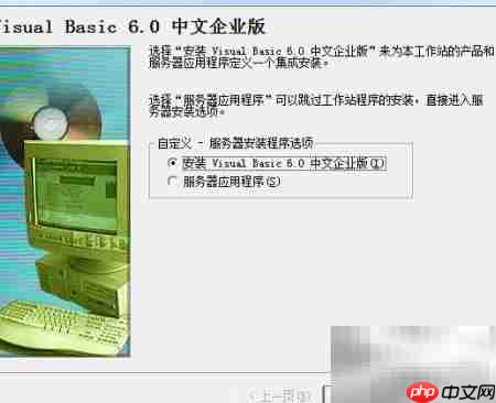 Visual Basic 6.0安装指南