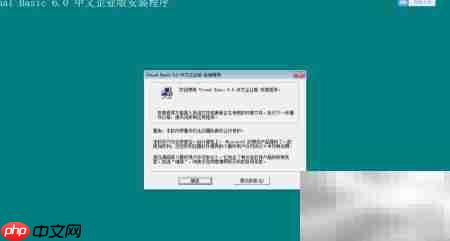 Visual Basic 6.0安装指南