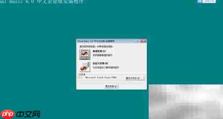 Visual Basic 6.0安装指南