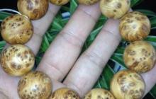 崖柏对人体的五大益处