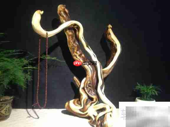 崖柏对人体的五大益处