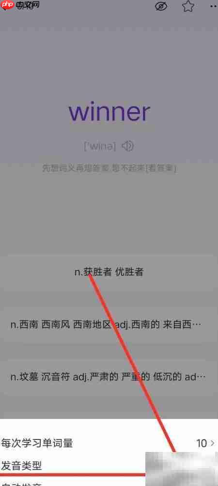 准单词王自动发音开启指南