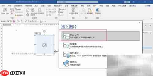 WORD插入图片控件方法