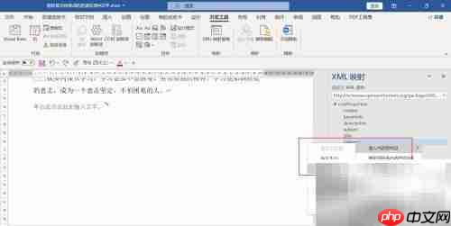 WORD插入图片控件方法