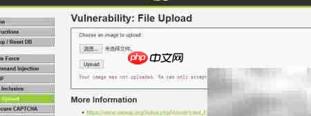 文件上传绕过技巧解析