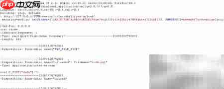 文件上传绕过技巧解析