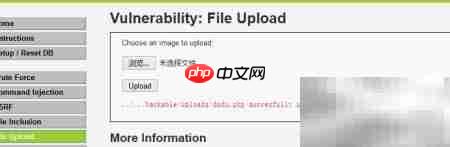 文件上传绕过技巧解析