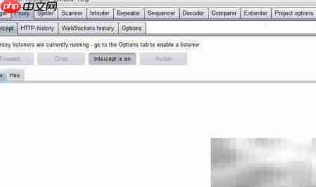 文件上传绕过技巧解析