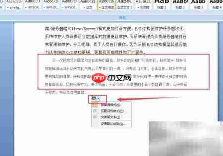 复制文本不带格式的方法