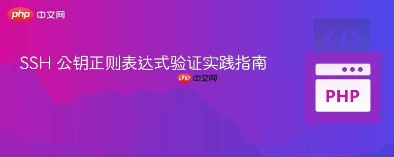 SSH 公钥正则表达式验证实践指南