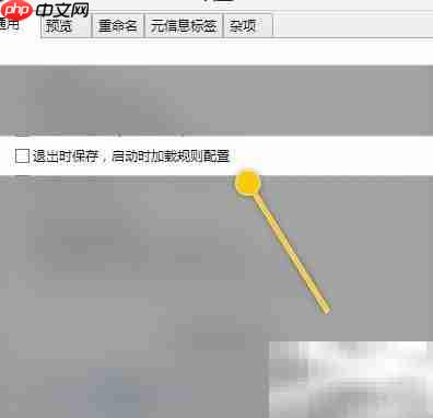 ReNamer启动加载规则设置