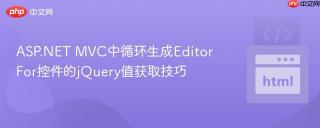 ASP.NET MVC中循环生成EditorFor控件的jQuery值获取技巧