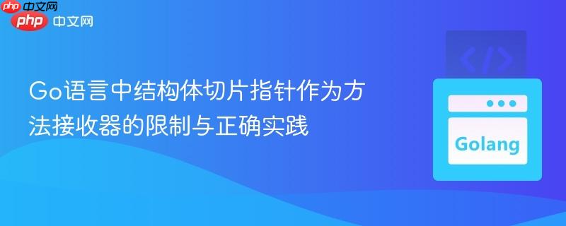 Go语言中结构体切片指针作为方法接收器的限制与正确实践