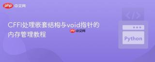 CFFI处理嵌套结构与void指针的内存管理教程