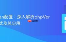 PHPStan配置：深入解析phpVersion格式及其应用