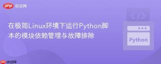 在极简Linux环境下运行Python脚本的模块依赖管理与故障排除