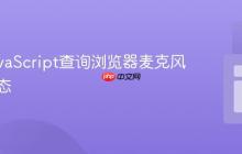 使用JavaScript查询浏览器麦克风权限状态