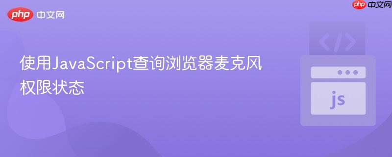 使用JavaScript查询浏览器麦克风权限状态