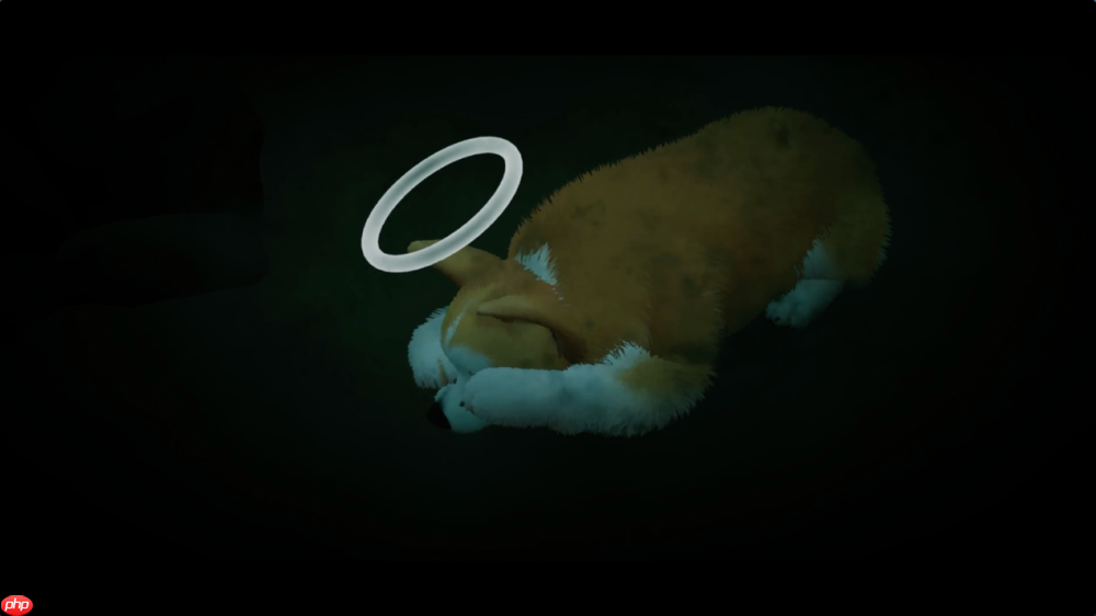 《我的小柯基》评测：献给所有爱狗人的童话