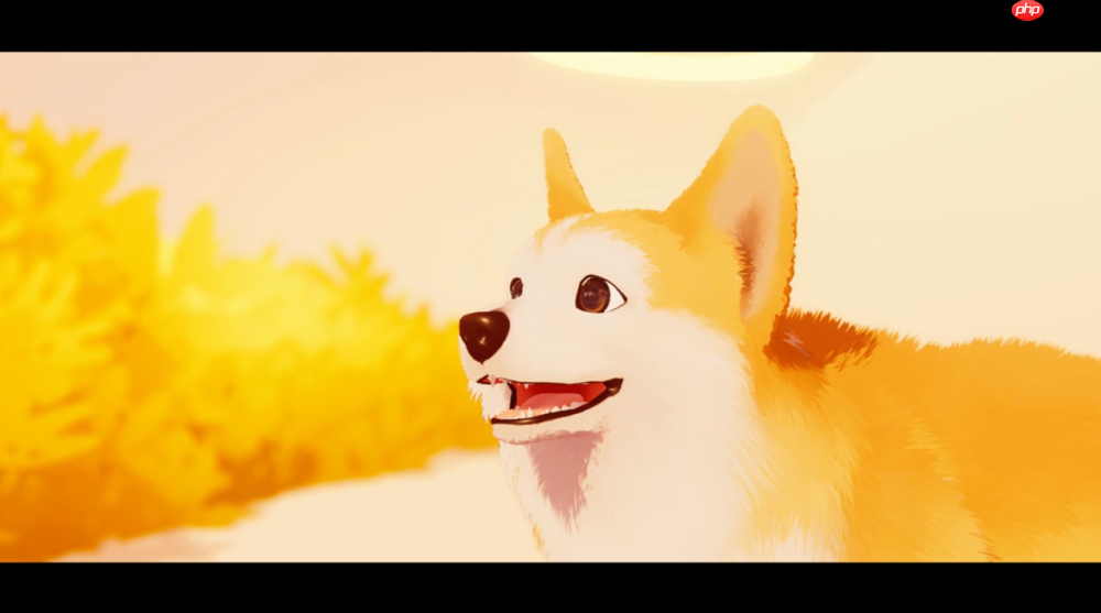 《我的小柯基》评测：献给所有爱狗人的童话