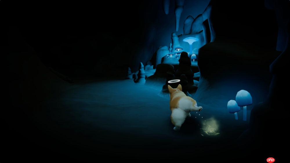 《我的小柯基》评测：献给所有爱狗人的童话