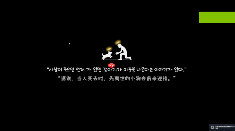 《我的小柯基》评测：献给所有爱狗人的童话