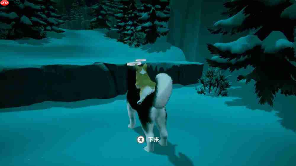 《我的小柯基》评测：献给所有爱狗人的童话