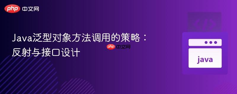 Java泛型对象方法调用的策略:反射与接口设计