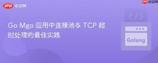 Go Mgo 应用中连接池与 TCP 超时处理的最佳实践
