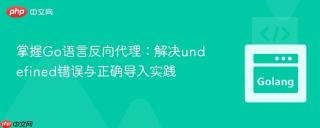 掌握Go语言反向代理：解决undefined错误与正确导入实践