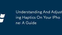 Haptik auf Ihrem iPhone verstehen und anpassen: Eine Anleitung