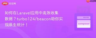 如何在Laravel应用中高效收集数据？turbo124/beacon助你实现原生统计！