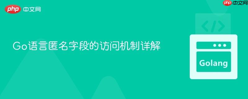 Go语言匿名字段的访问机制详解
