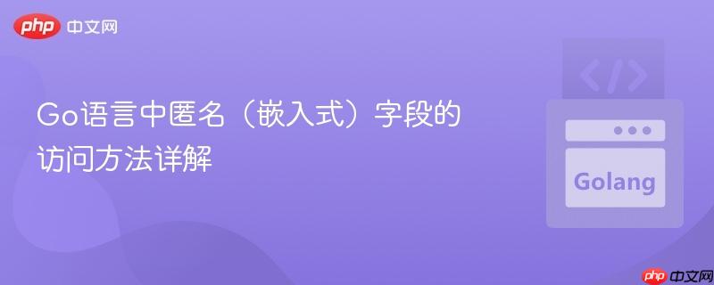 Go语言中匿名（嵌入式）字段的访问方法详解

