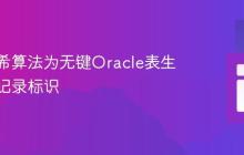 利用哈希算法为无键Oracle表生成唯一记录标识