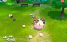 《牧场物语》开发商Marvelous游戏业务亏损 或因开发成本高昂！