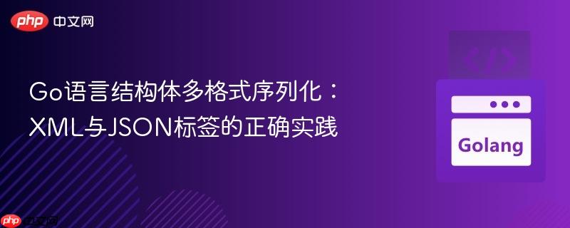 Go语言结构体多格式序列化:XML与JSON标签的正确实践