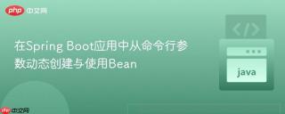 在Spring Boot应用中从命令行参数动态创建与使用Bean