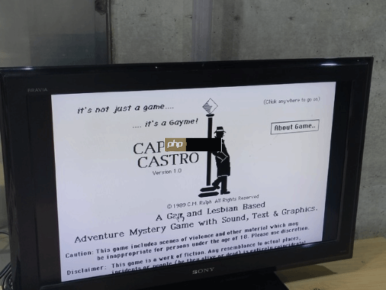 世界首款LGBTQ游戏出展:在同性恋社区调查变装女皇